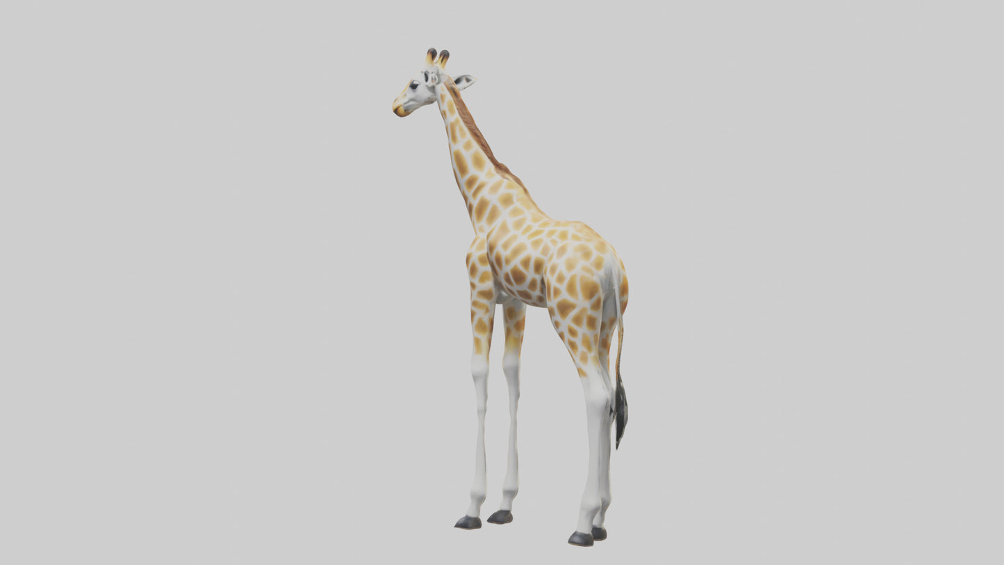Giraffe Legs Model VR / AR / low-poly
