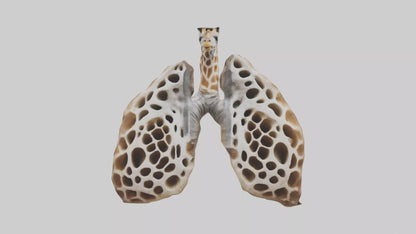 Giraffe Lungs VR / AR / low-poly