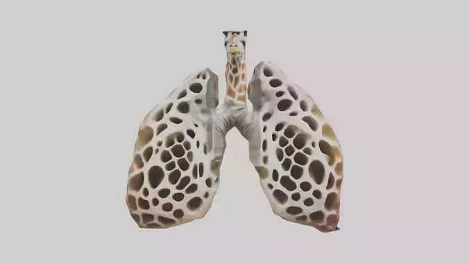 Giraffe Lungs VR / AR / low-poly