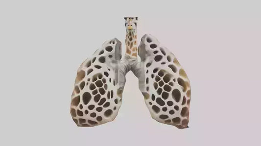 Giraffe Lungs VR / AR / low-poly