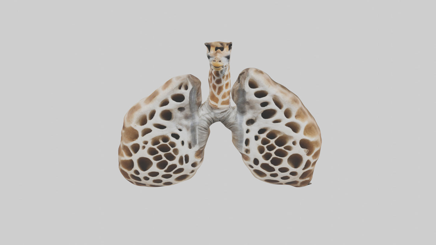 Giraffe Lungs VR / AR / low-poly