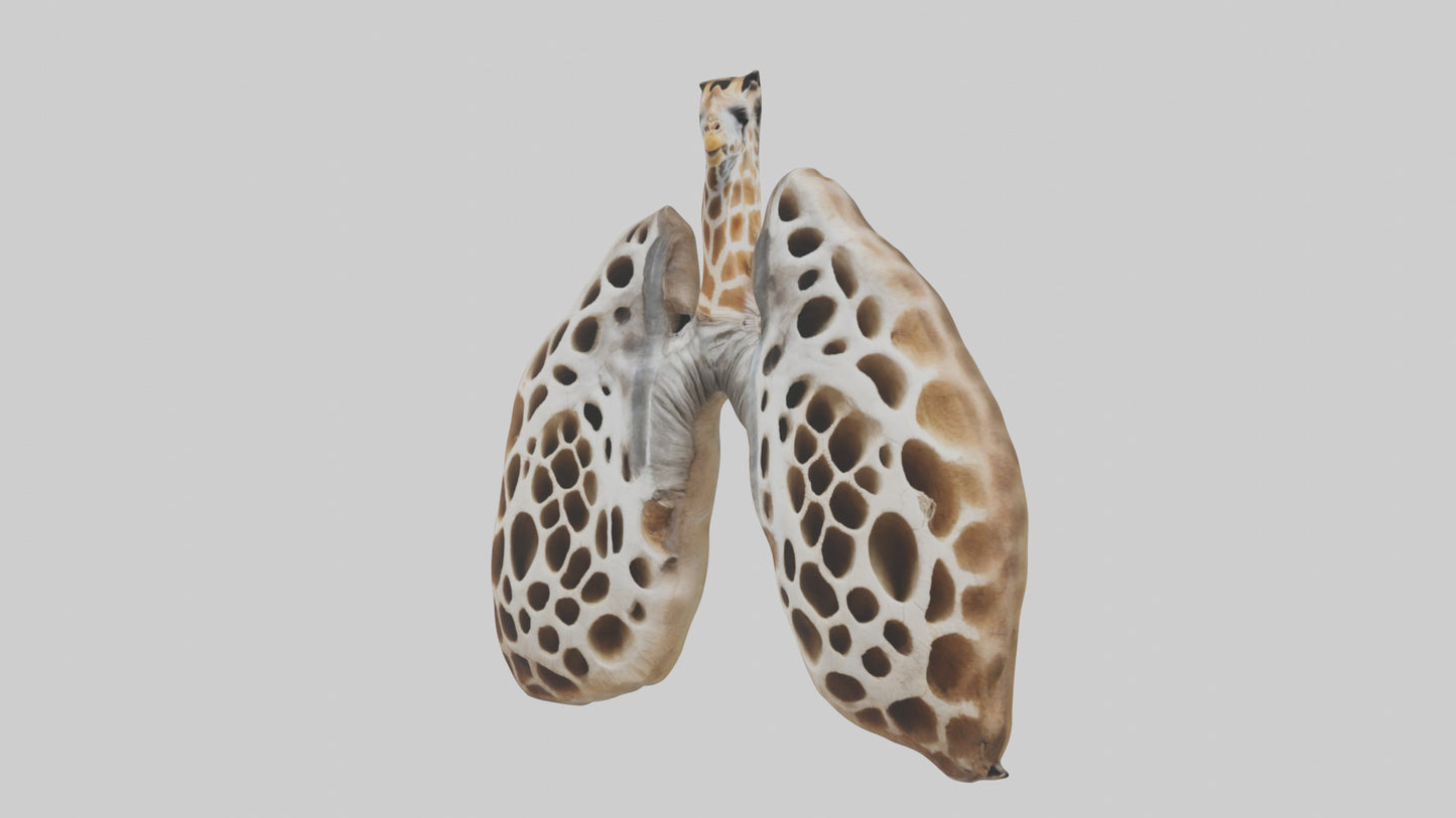 Giraffe Lungs VR / AR / low-poly