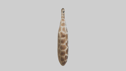 Giraffe Lungs VR / AR / low-poly