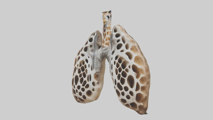 Giraffe Lungs VR / AR / low-poly