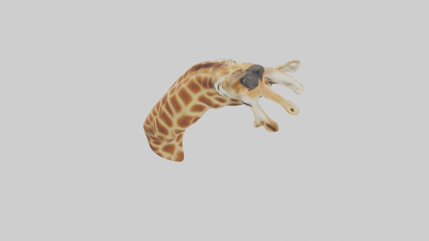 3D model Giraffe Neck Model VR / AR / low-poly