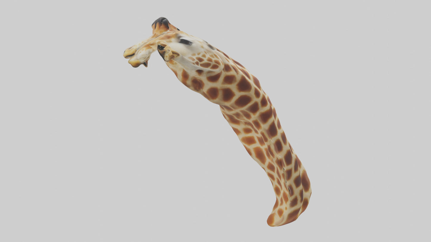 3D model Giraffe Neck Model VR / AR / low-poly