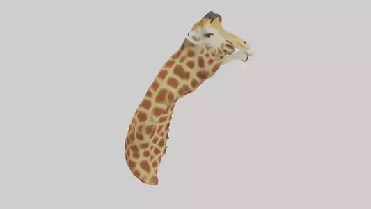 3D model Giraffe Neck Model VR / AR / low-poly
