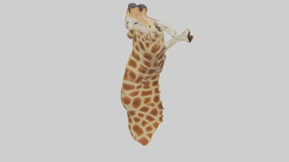 3D model Giraffe Neck Model VR / AR / low-poly