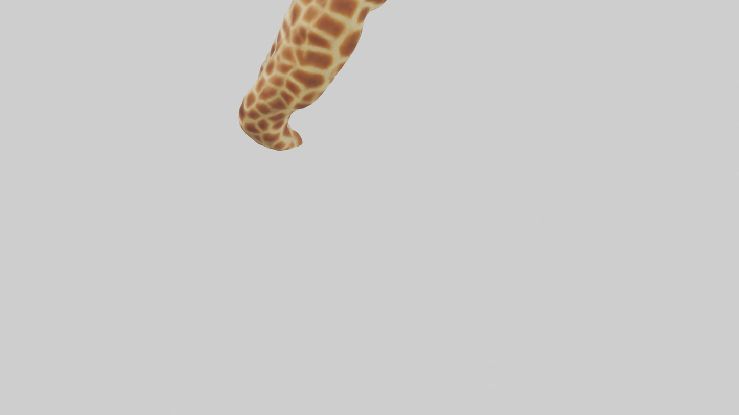 3D model Giraffe Neck Model VR / AR / low-poly