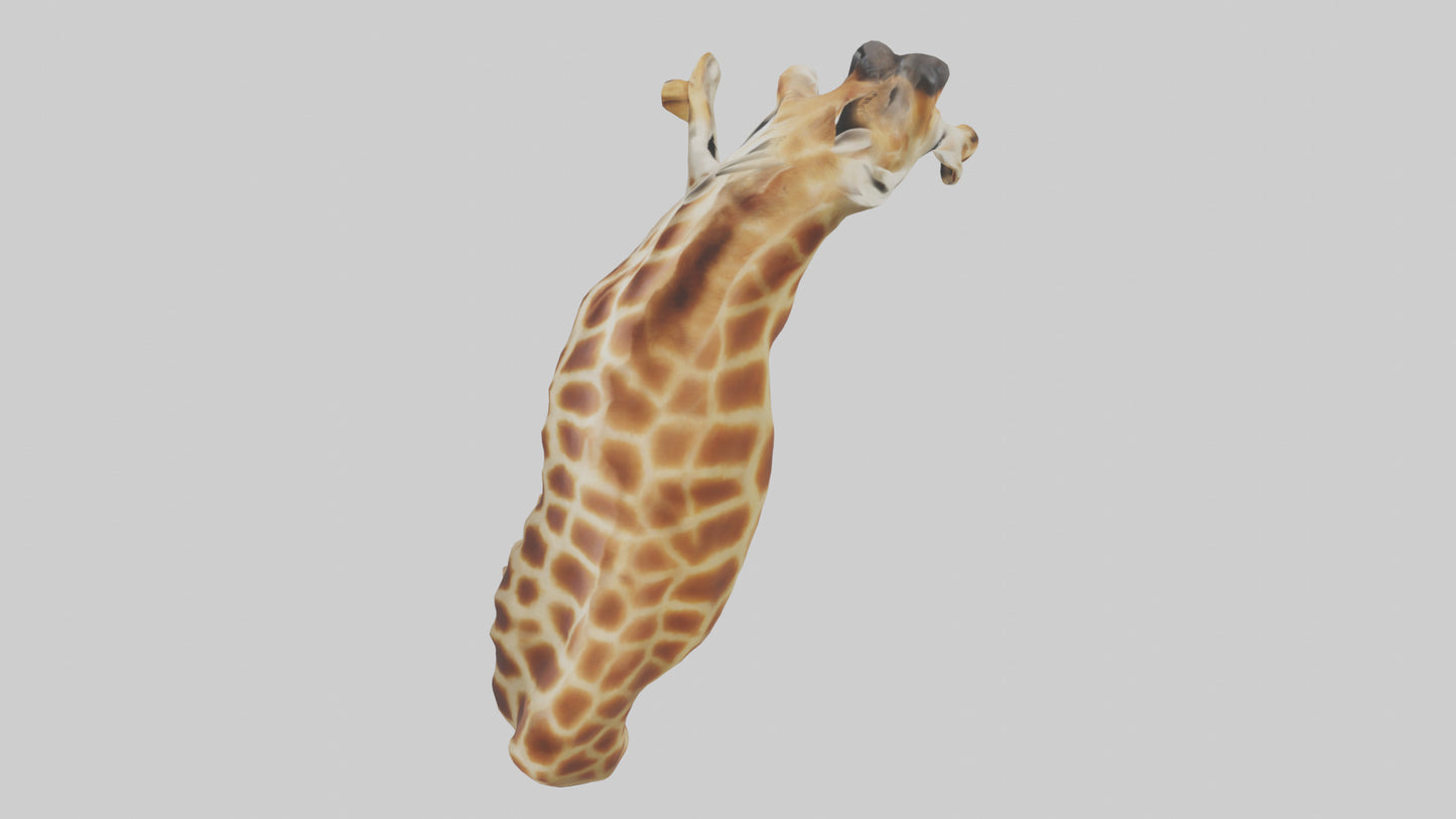 3D model Giraffe Neck Model VR / AR / low-poly