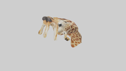3D model Giraffe Neck Model VR / AR / low-poly