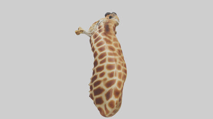 3D model Giraffe Neck Model VR / AR / low-poly