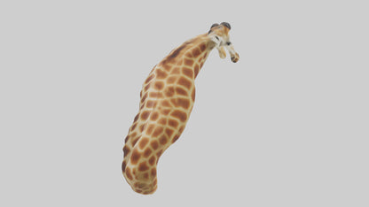 3D model Giraffe Neck Model VR / AR / low-poly