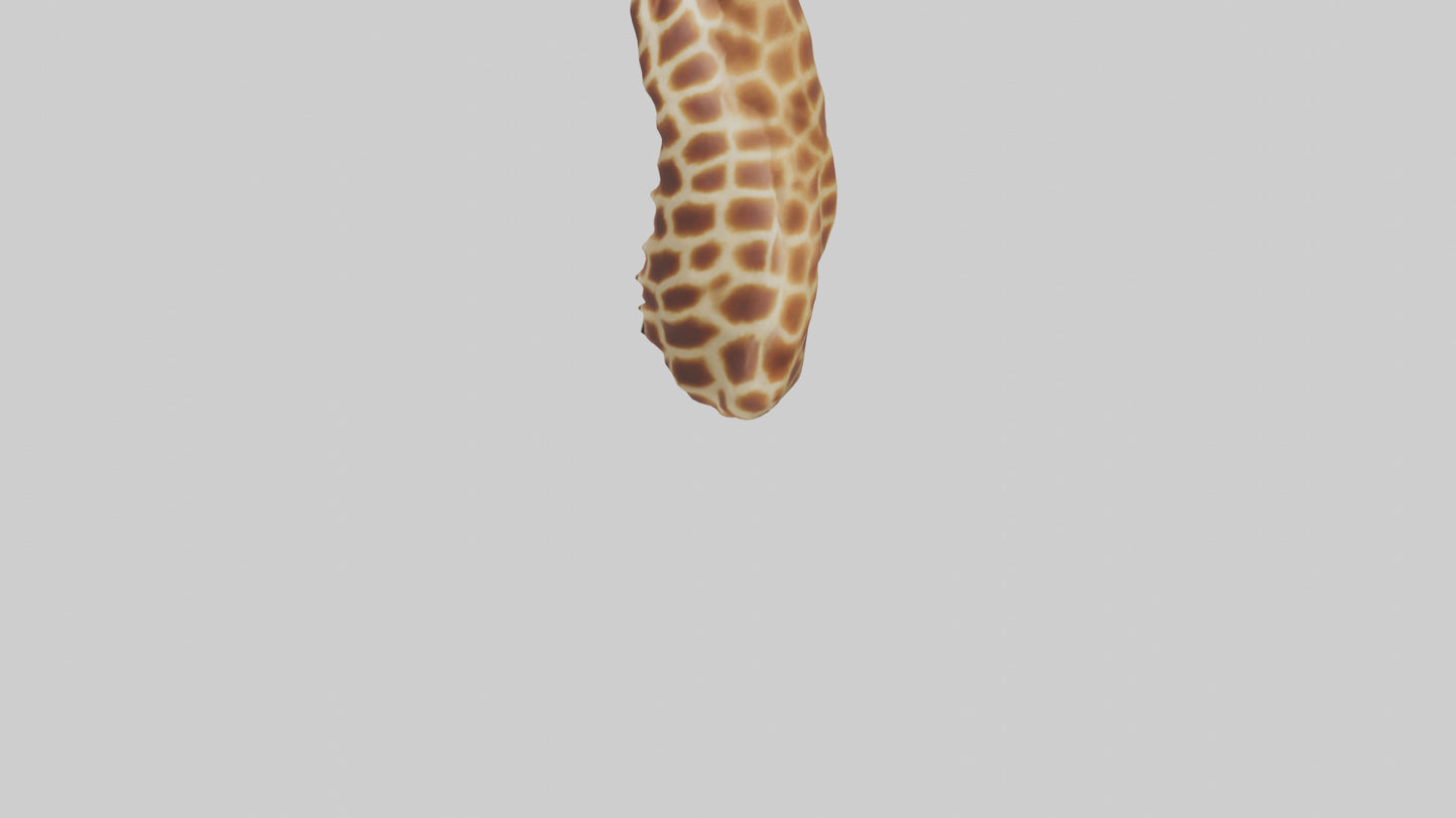 3D model Giraffe Neck Model VR / AR / low-poly