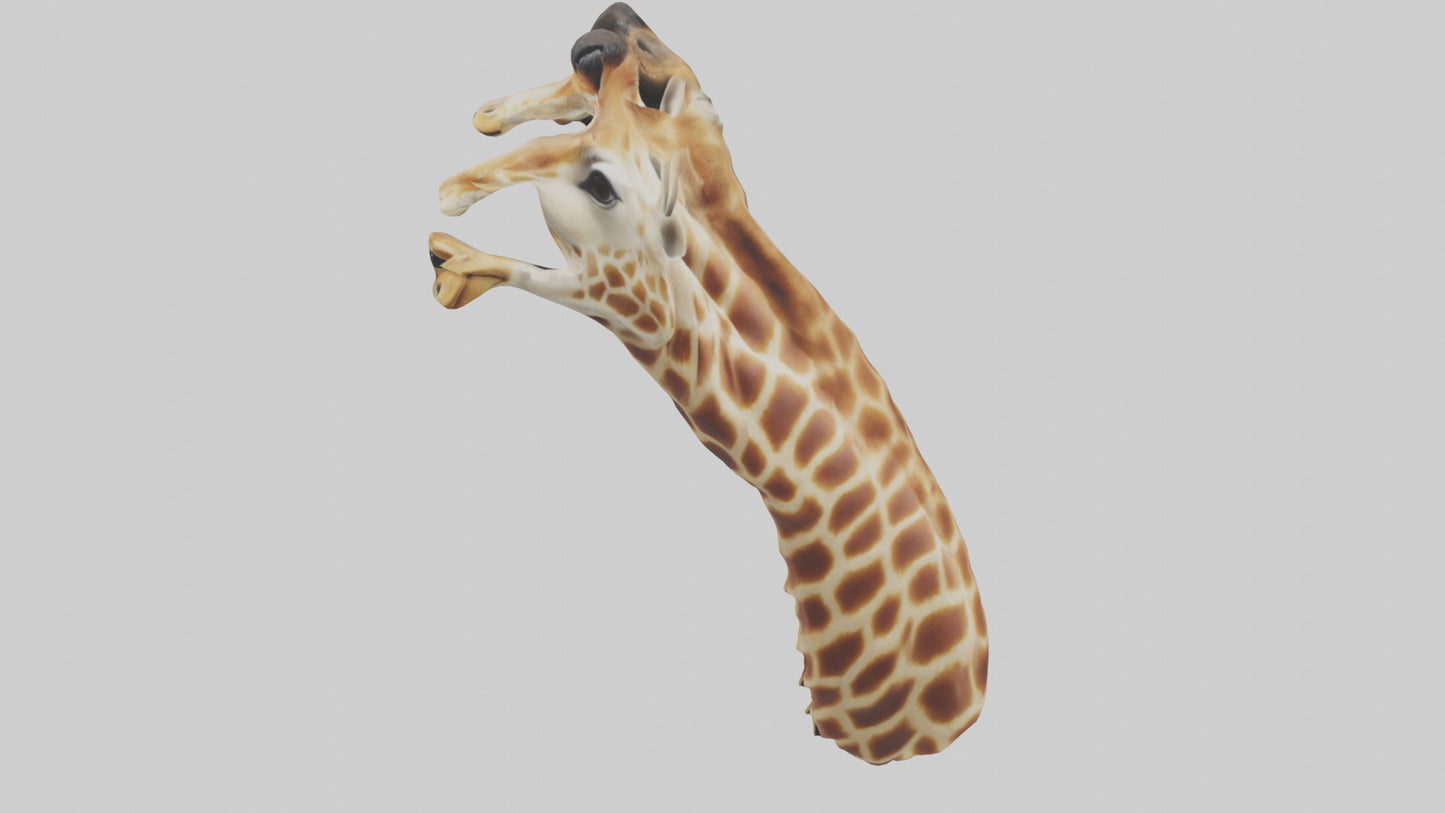 3D model Giraffe Neck Model VR / AR / low-poly
