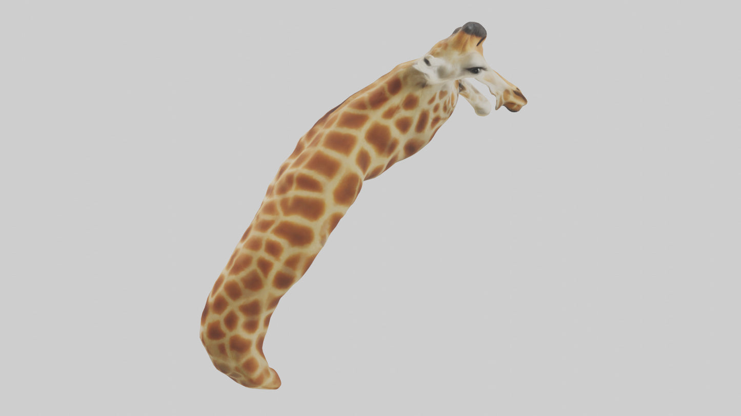 3D model Giraffe Neck Model VR / AR / low-poly