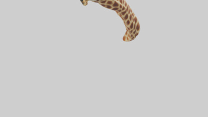 3D model Giraffe Neck Model VR / AR / low-poly