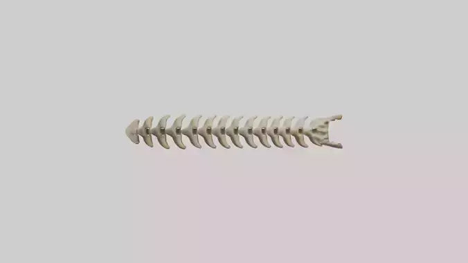 3D model Giraffe Spine VR / AR / low-poly