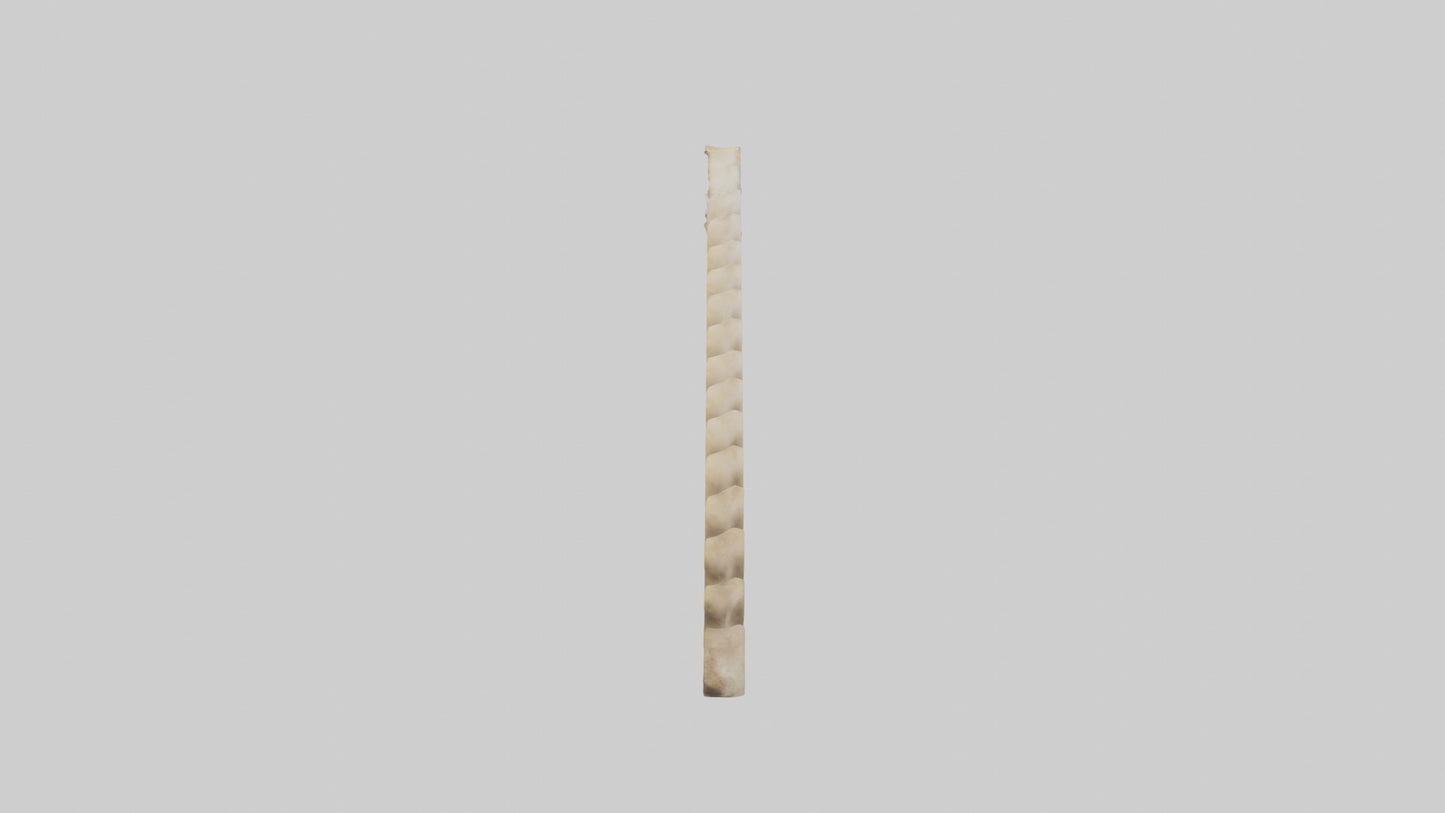 3D model Giraffe Spine VR / AR / low-poly
