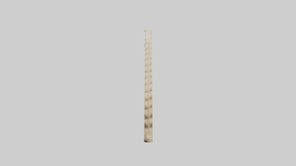 3D model Giraffe Spine VR / AR / low-poly