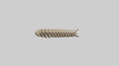 3D model Giraffe Spine VR / AR / low-poly