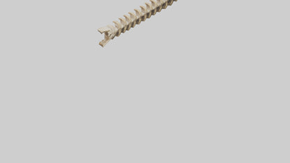 3D model Giraffe Spine VR / AR / low-poly