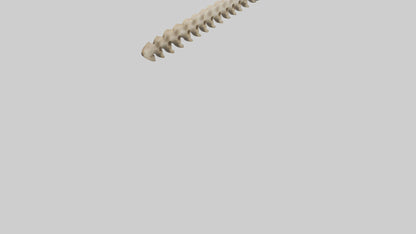 3D model Giraffe Spine VR / AR / low-poly