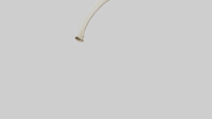 3D model Giraffe Tibia VR / AR / low-poly