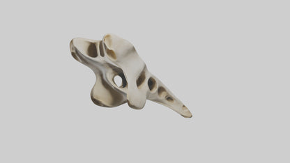 3D model Giraffe Vertebrae VR / AR / low-poly