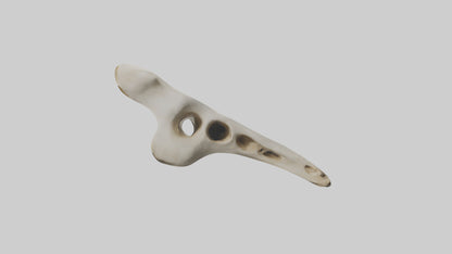 3D model Giraffe Vertebrae VR / AR / low-poly