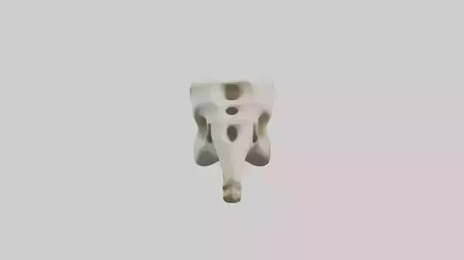 3D model Giraffe Vertebrae VR / AR / low-poly