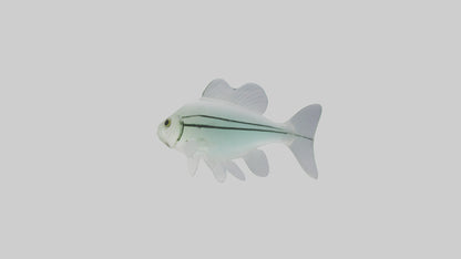 3D model Glass Catfish swimming model VR / AR / low-poly
