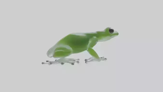 Glass Frog perched model VR / AR / low-poly