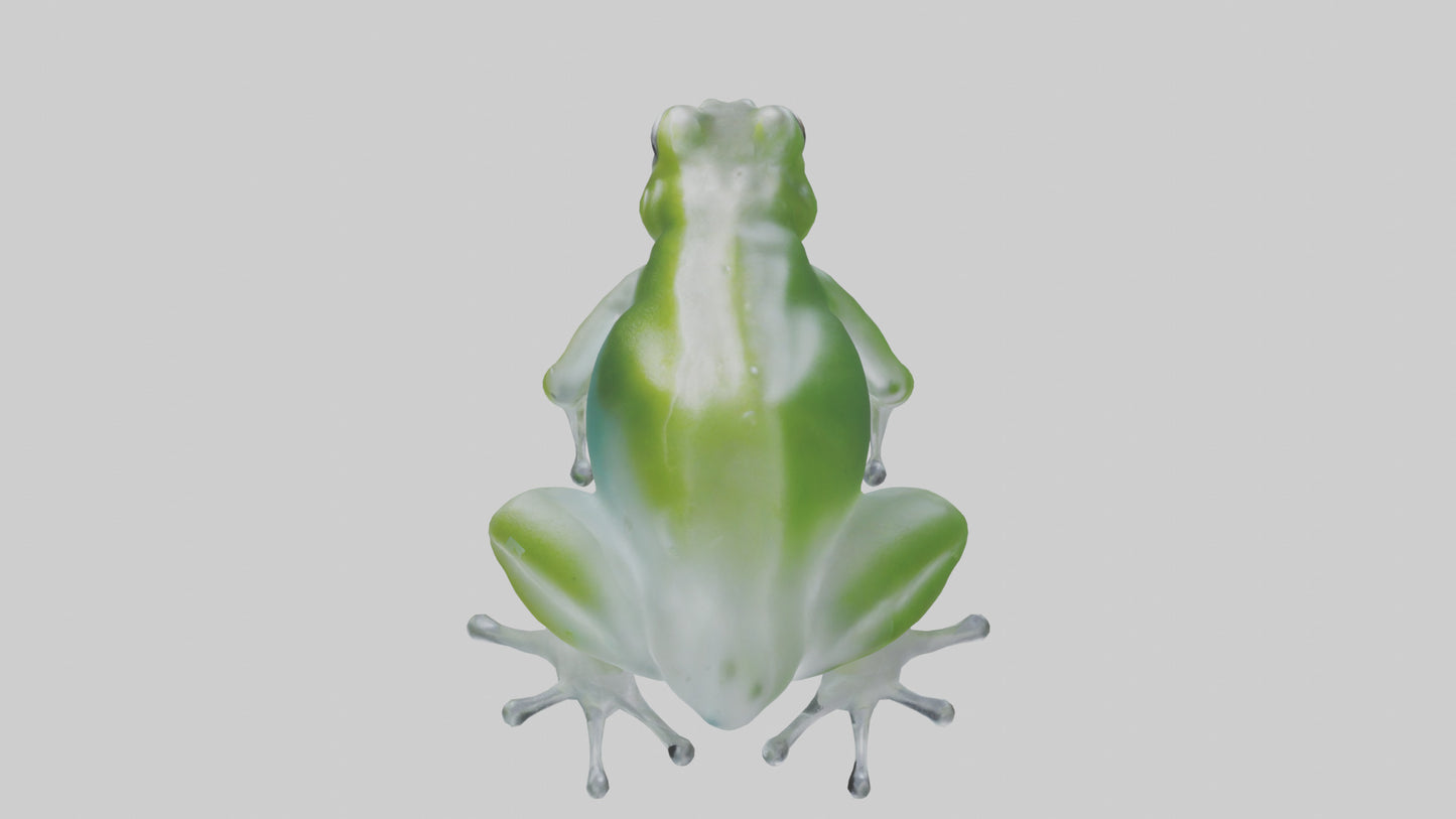 Glass Frog perched model VR / AR / low-poly