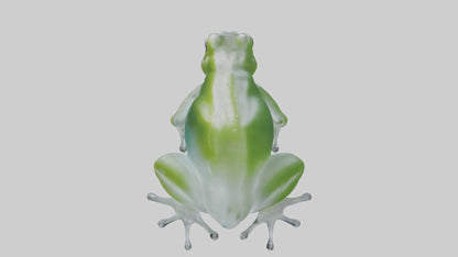 Glass Frog perched model VR / AR / low-poly