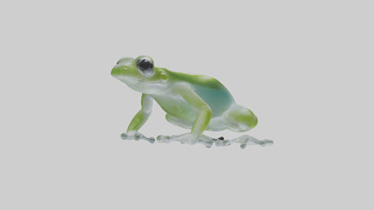 Glass Frog perched model VR / AR / low-poly