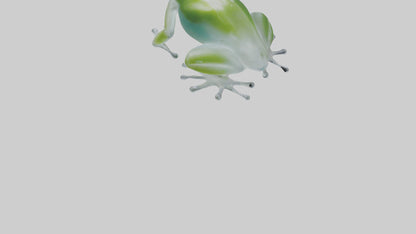 Glass Frog perched model VR / AR / low-poly