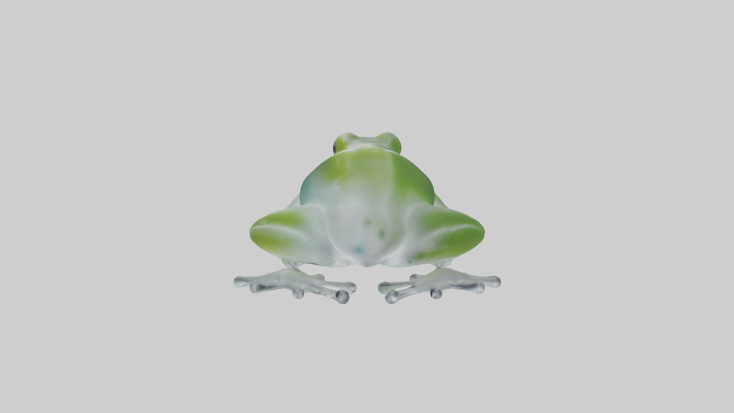 Glass Frog perched model VR / AR / low-poly