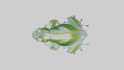 Glass Frog perched model VR / AR / low-poly