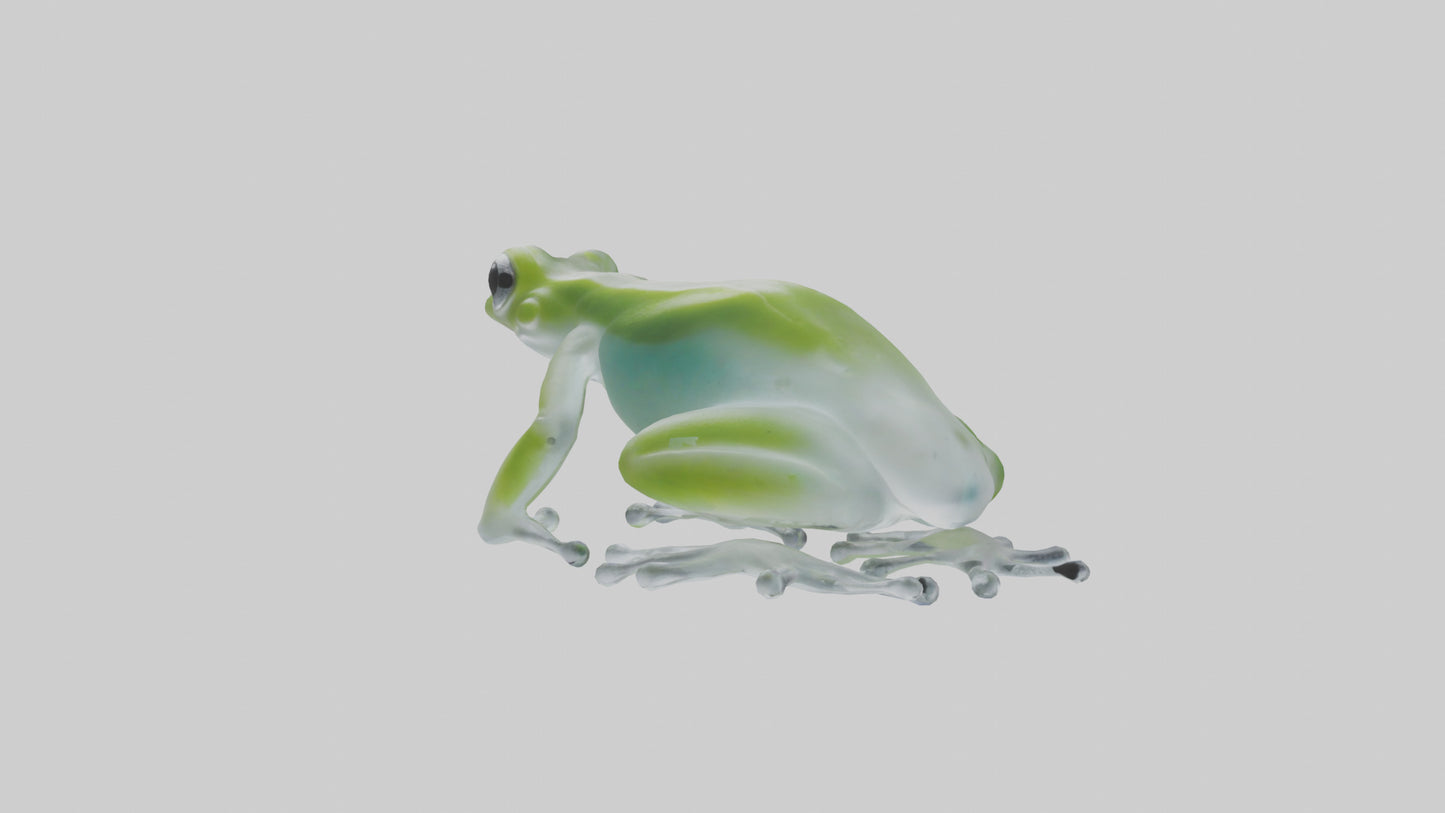 Glass Frog perched model VR / AR / low-poly