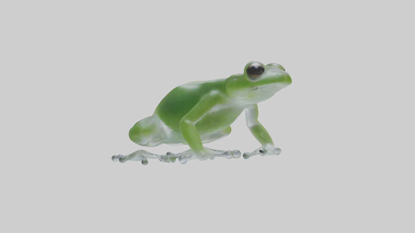 Glass Frog perched model VR / AR / low-poly