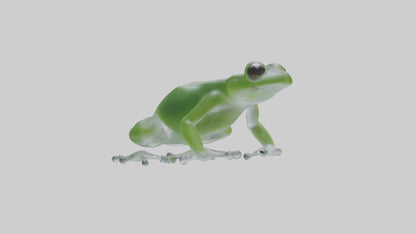 Glass Frog perched model VR / AR / low-poly