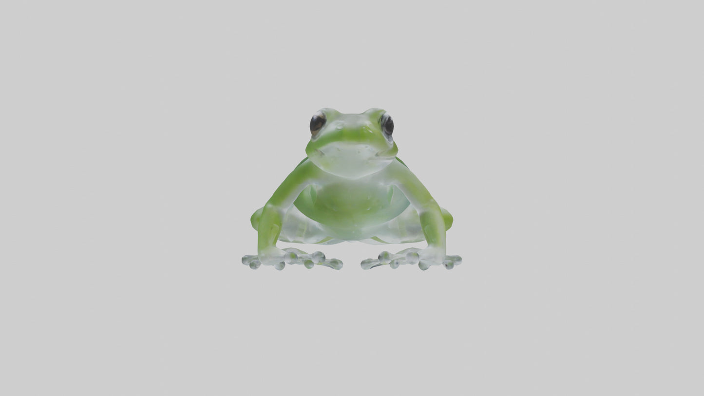 Glass Frog perched model VR / AR / low-poly