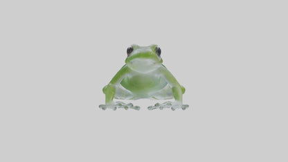 Glass Frog perched model VR / AR / low-poly