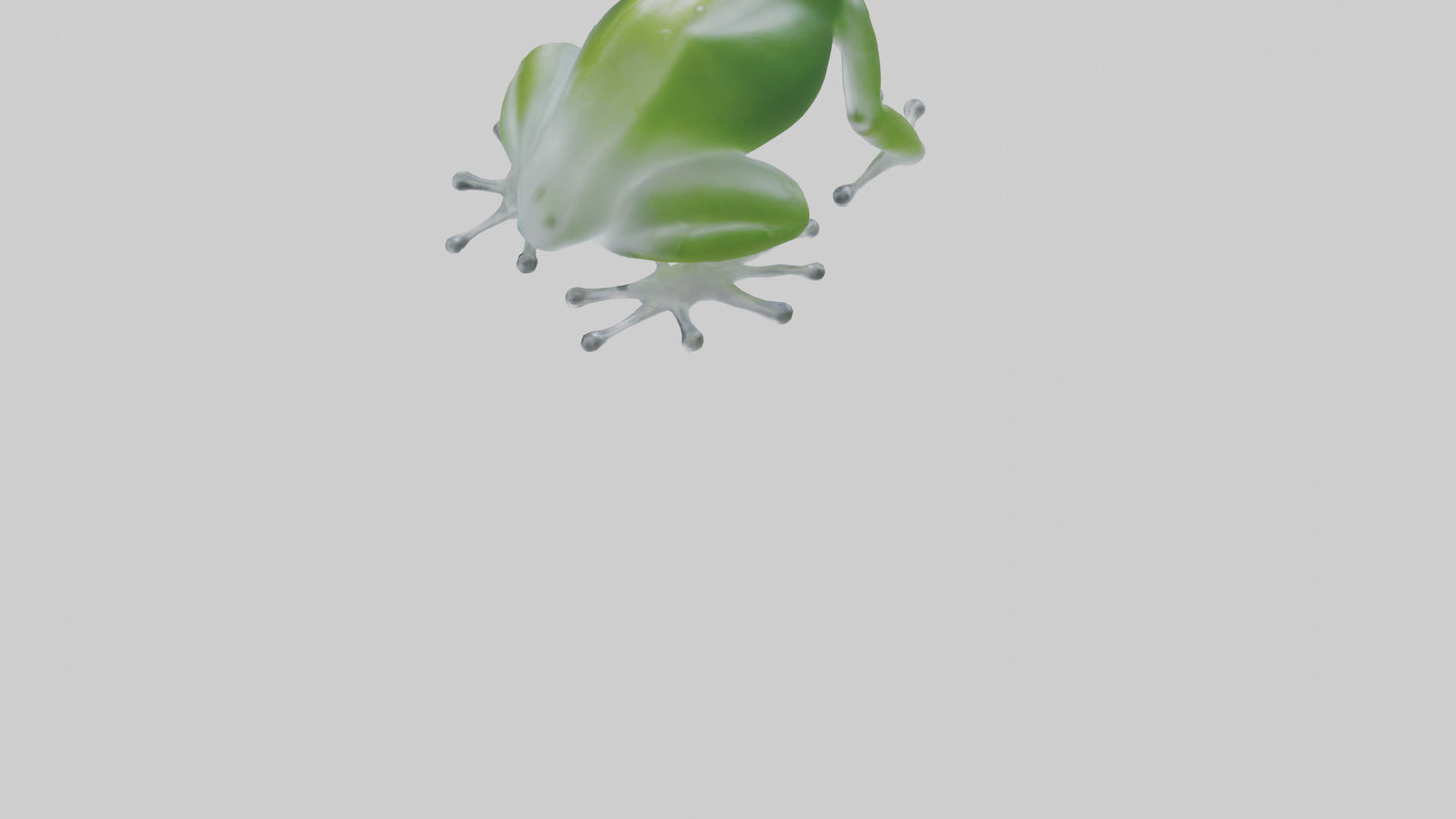 Glass Frog perched model VR / AR / low-poly