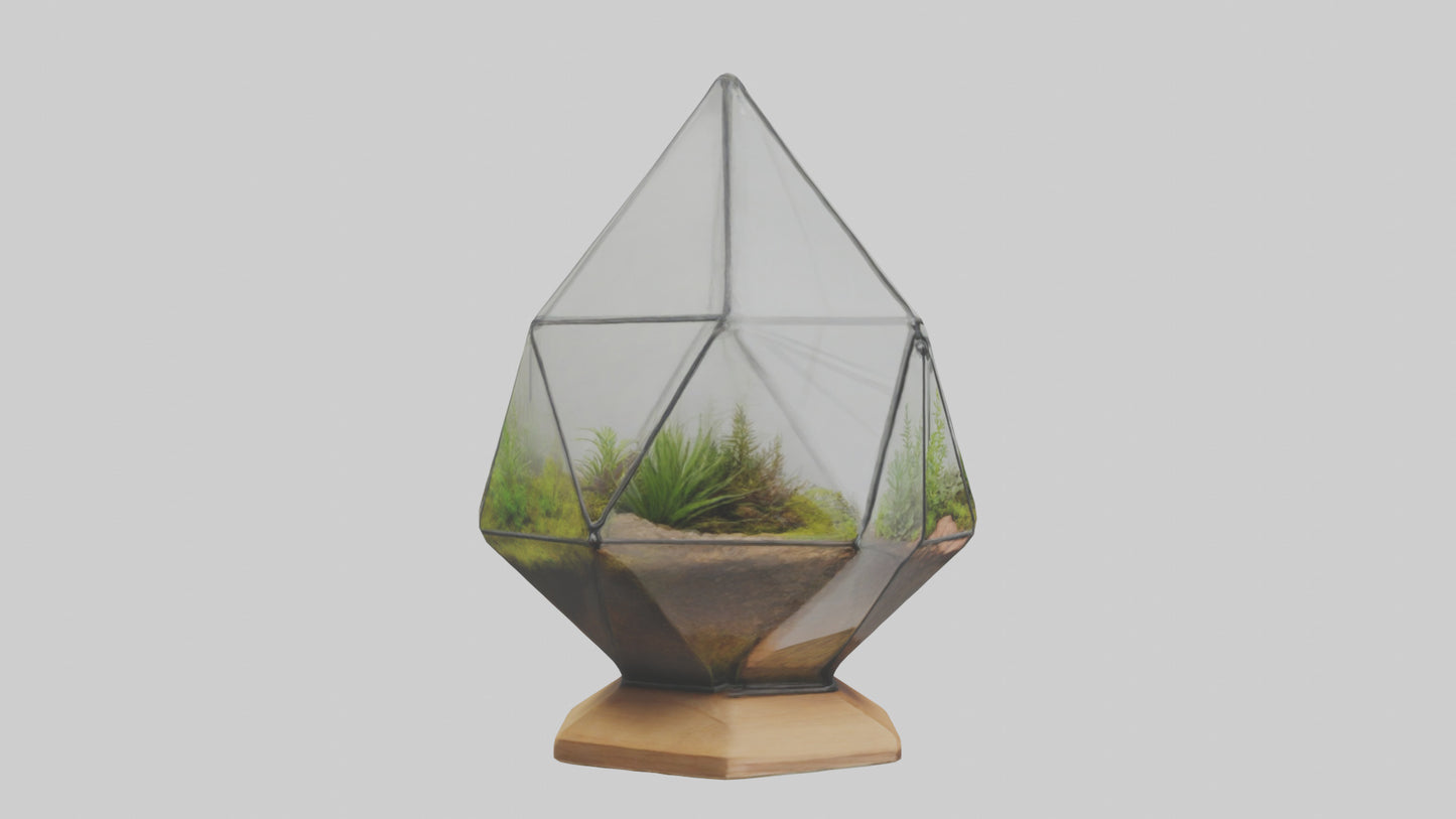 3D model Glass terrarium model VR / AR / low-poly