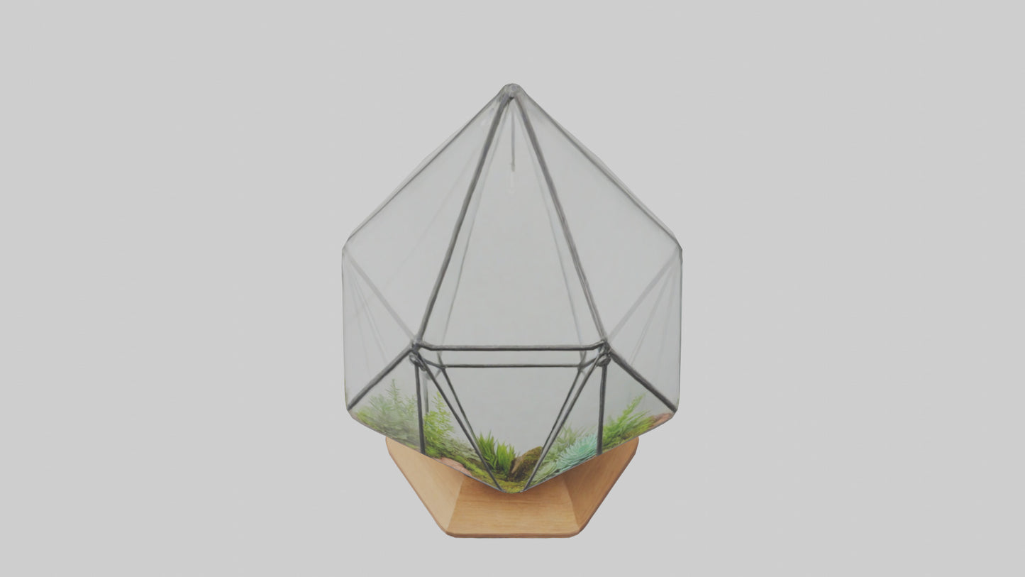 3D model Glass terrarium model VR / AR / low-poly