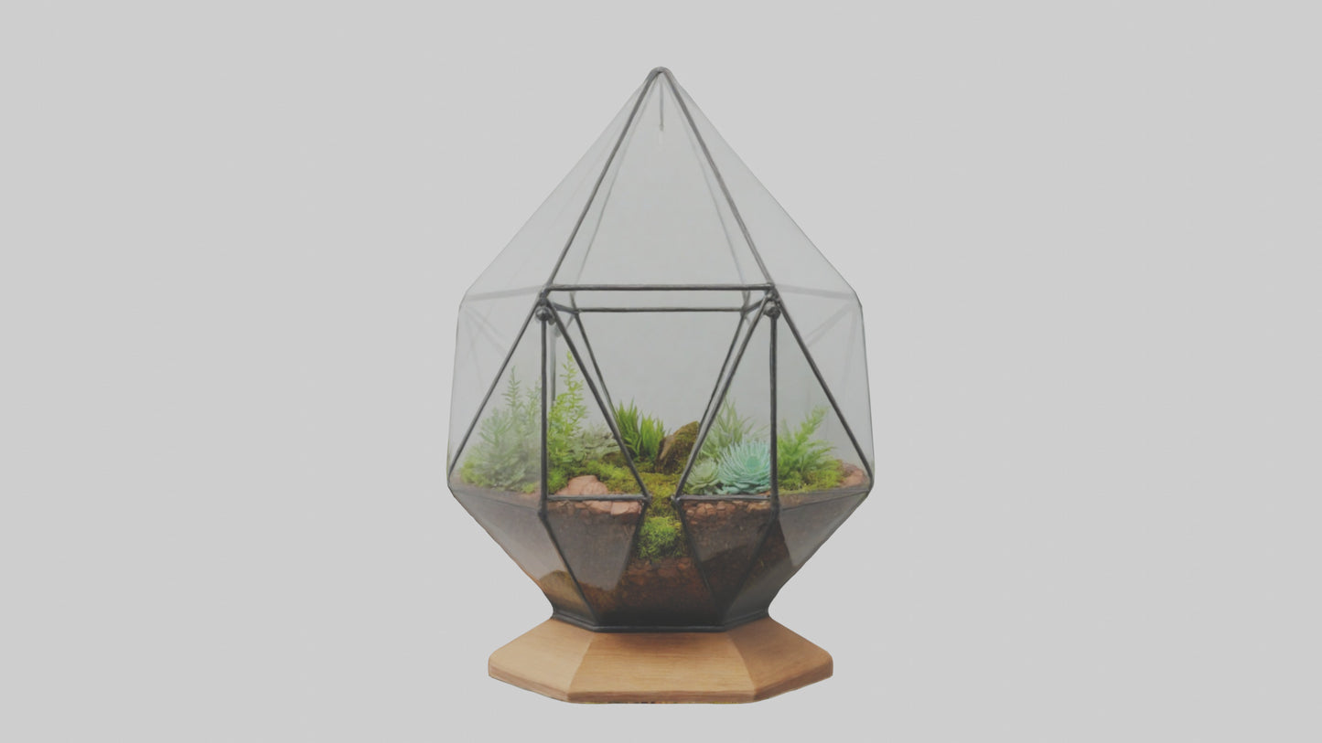 3D model Glass terrarium model VR / AR / low-poly