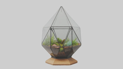 3D model Glass terrarium model VR / AR / low-poly