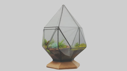 3D model Glass terrarium model VR / AR / low-poly